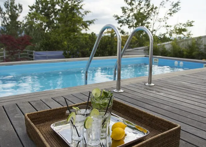 Pavi Apts - Private Rooftop Swimming Pool * Ljubljana
